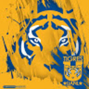 Meet your Posher, Jared neftaly